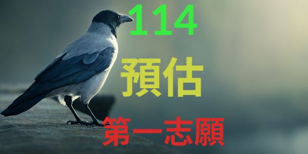 114年台灣公私立國中會考後預估第一志願統計