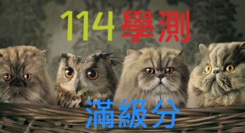 114年台灣公私立高中學測滿級分人數統計