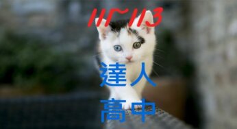 達人高中近3年錄取大學榜單人數統計分析