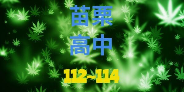 苗栗高中近3年錄取大學榜單人數統計(112年~114年)