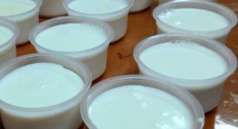 DIY自製最簡單最容易且最方便的甜點就是鮮奶酪了