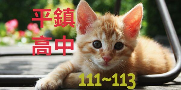 平鎮高中近3年錄取大學榜單統計分析